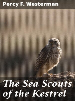 cover image of The Sea Scouts of the Kestrel